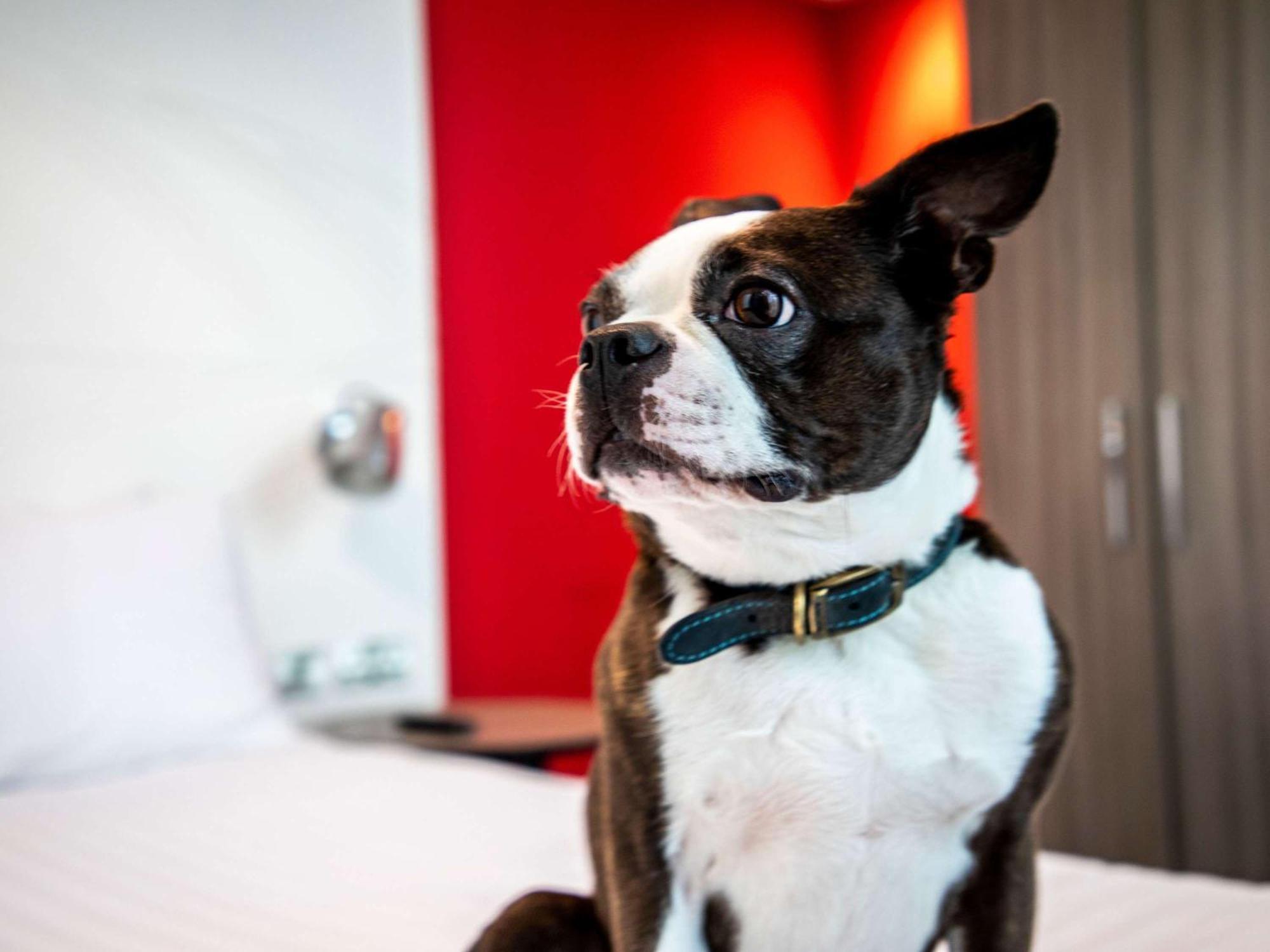 Ibis Styles Glasgow Central Exterior foto